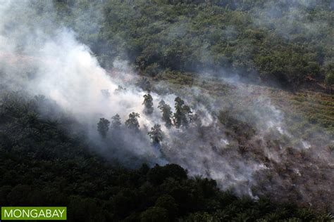 bentang lahan gambut kebakaran  sejarah tata kelolanya  indonesia mongabaycoid