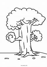 Coloring Pages Tree Trees Printable Kids Cool2bkids sketch template