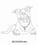 Coloring Pitbull Pages Dog Pitbulls Coloringhome Printable Color Dogs Pit Getcolorings Only Comments sketch template
