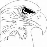 Falco Osprey Colorato Pescatore Falchi Printmania sketch template