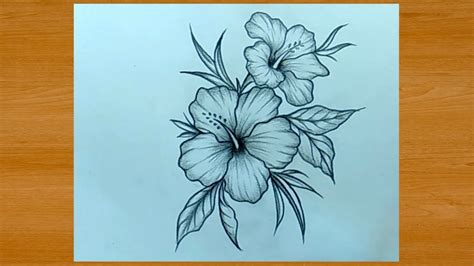 beautiful flower drawing  pencil easy youtube
