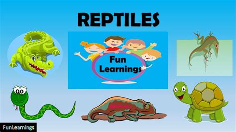 reptiles  kids fun learningscommon reptilesnames  reptiles
