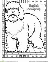 Coloring Sheepdog Dog English Pages Old Breed Color Drawing Getdrawings 440px 55kb Kids Getcolorings Learn sketch template