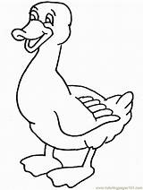 Ducks Bebek Hewan sketch template
