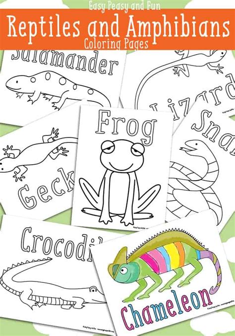 reptile  amphibian coloring pages homeschool giveaways