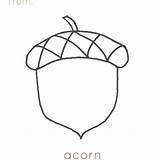Acorn sketch template