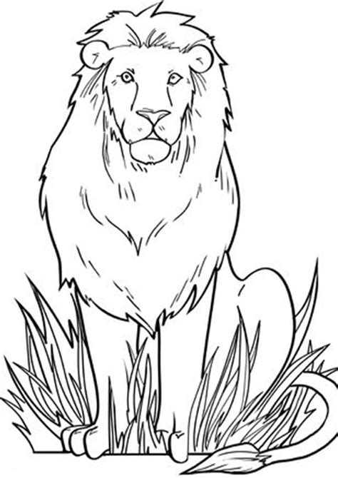 easy  print lion coloring pages lion coloring pages zoo