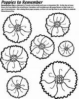 Poppy Coloring Remembrance Poppies Template Pages Veterans Anzac Remember Crayola Drawing Printable Craft Print Color School Colouring Kids Flowers Activities sketch template