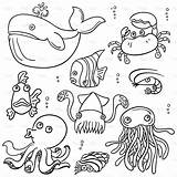 Octopus Whale Crab sketch template