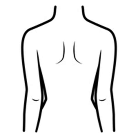 body outline  clipart