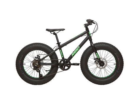 reid monster   fat bike recyclist bicycle  kaukauna wi