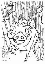 Leone Roi Timon Pumbaa Stampare Pumba Coloriages Ohmydollz Gifgratis Bambinievacanze Guarda Stampa sketch template