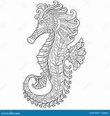 Seahorse Coloring Adult Template sketch template