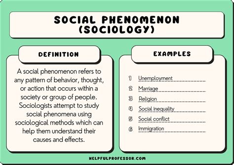 social phenomenon  examples  definition sociology