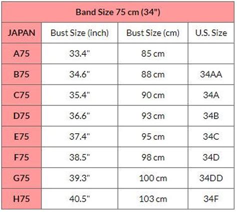 cup size chart visual nelomove
