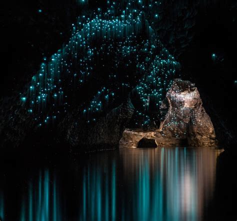 magical  zealand cave  illuminated  luminescent glowworms