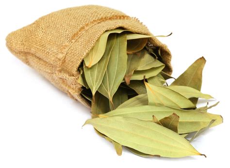 cassia leaf essential oil   benefits