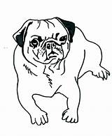 Pug Coloring Pages Dog Cute Color Printable Print Getcolorings Pu sketch template