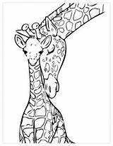 Coloring Giraffes Pages Kids Printable Funny sketch template
