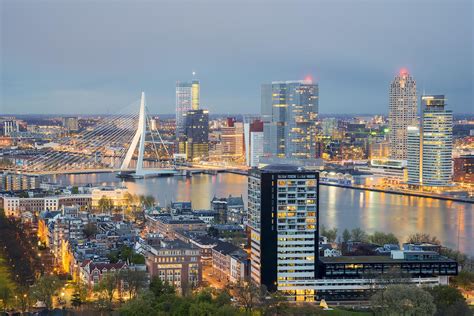 team   office  rotterdam netherlands boosts praesto consultings continuing growth