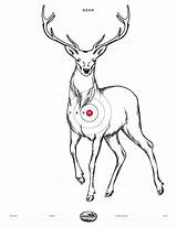 Targets Shooting Printable Gun Nssf Target Nra Print Pistol Pdf Deer Paper Rifle Archery Board Hunting Right Range Save Click sketch template