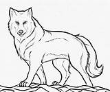 Coloringbay Arctic Lynx Getdrawings Cartoon Gcssi sketch template