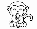 Monos Pintar Scimmia Flautista Macaco Singe Changos Mico Dibuixos Tiernos Micos Caratulas Acolore Colorier Cirque Flûtiste Utente sketch template