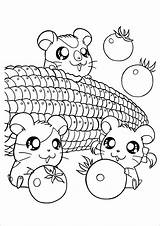 Hamster Printable Kids Hamtaro Hamsters Ausmalbilder Kawaii Comendo Food Milho Coloring4free Ratinhos Adorable Colouring Coloringhome 2243 Little Malvorlagen Azcoloring Tudodesenhos sketch template