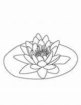 Lily Pages Water Coloring Flower Kids Pad Lilies Drawing Print Clipart Line Colouring Printable Flowers Plant Color 1malaysia Nature Bernama sketch template