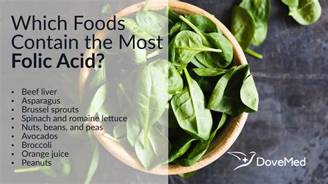 which foods contain the most folic acid
