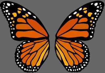 monarch butterfly wings tinker pinterest monarch butterfly