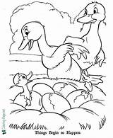 Coloring Duckling Ugly Printable Pages Below Click sketch template