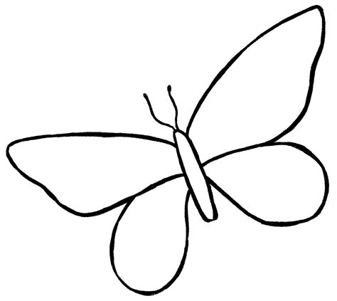 butterfly drawing  easy steps  graphics fairy