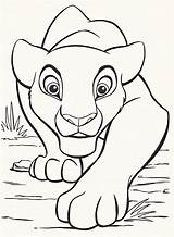 Lion King Coloring Pages Disney Printable Kids Sheets Drawings Drawing Cartoon Visit Books sketch template