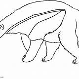 Anteater Giant Ants sketch template