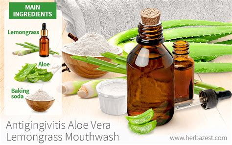 antigingivitis aloe vera lemongrass mouthwash herbazest