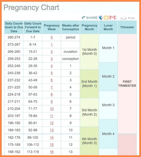 pregnancy calendar week calculator month calendar printable