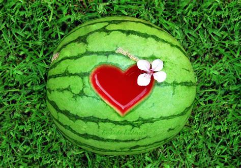 pin by jazmyne on jaz watermelon heart watermelon watermelon art