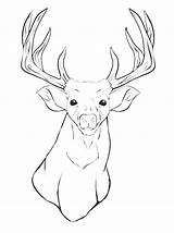 Deer Coloring Pages Head Printable Reindeer Animal Buck Drawing Mule Silhouette Whitetail Getcolorings Clipart Antler Outline Adult Tail Kids Color sketch template