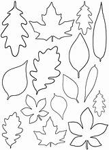 Leaf Templates Coloring Pdf sketch template