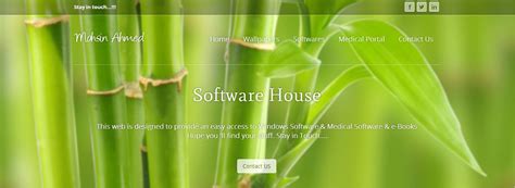 software house