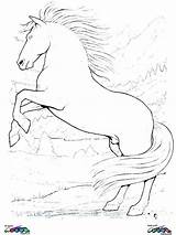 Horse Coloring Pages Mustang Printable Realistic Wild Getcolorings Getdrawings Colorings sketch template