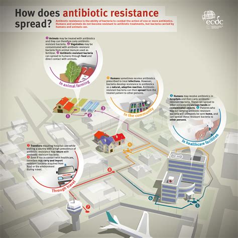 antibiotic resistance how does antibiotic resistance spread