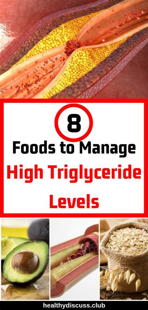 pin  high triglycerides diet