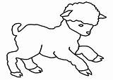 Coloring Drawing Lamb Sheep Kids Clipart Drawings Outline Para Clip Pages Cartoons Zone Mangas Printable Colorear Cordero Cliparts Dibujos Childrens sketch template