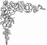 Border Flower Clipart Line Library sketch template
