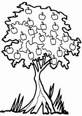 Tree Apple Coloring Pages Print sketch template