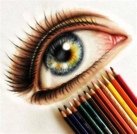pencil drawings  colour pencildrawing