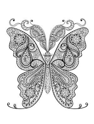 printable insect animal adult coloring pages page
