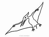 Pterodactyl Colouring Pages sketch template